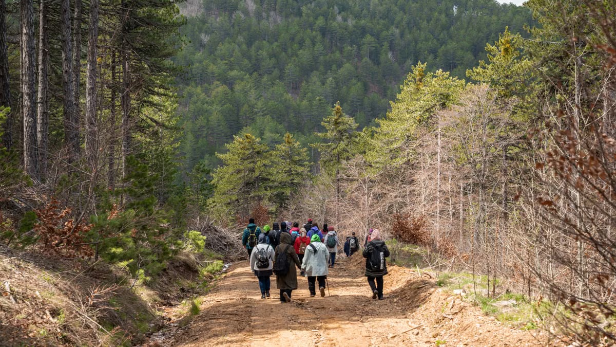 A group of hikers walks a forest trail, surrounded by lush greenery and trees in springtime.